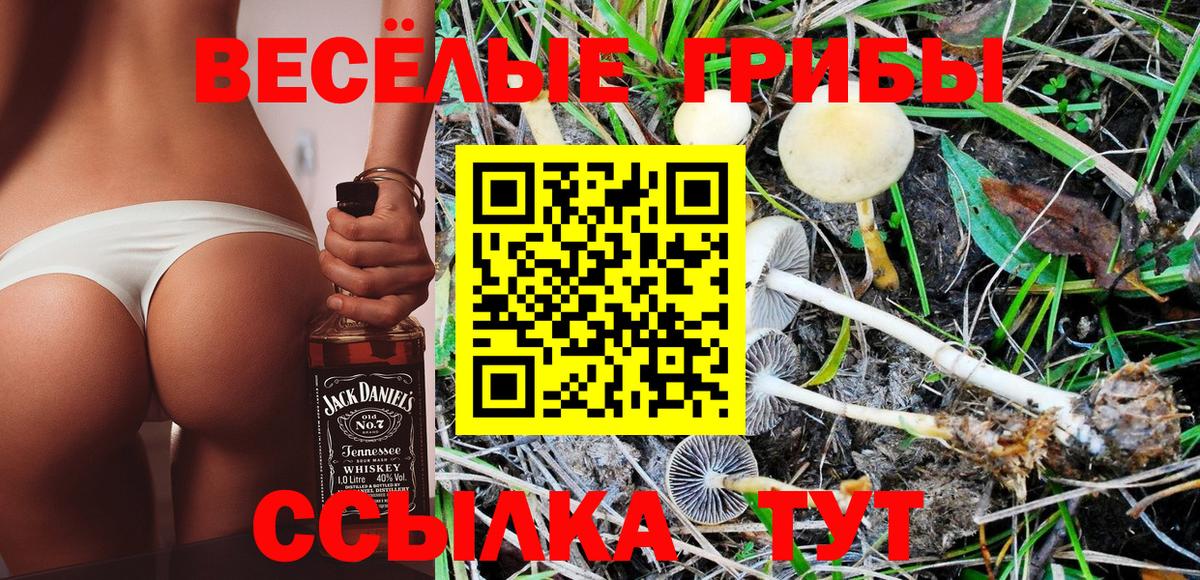 Галлюциногенные грибы MAGIC MUSHROOMS Нижнеудинск