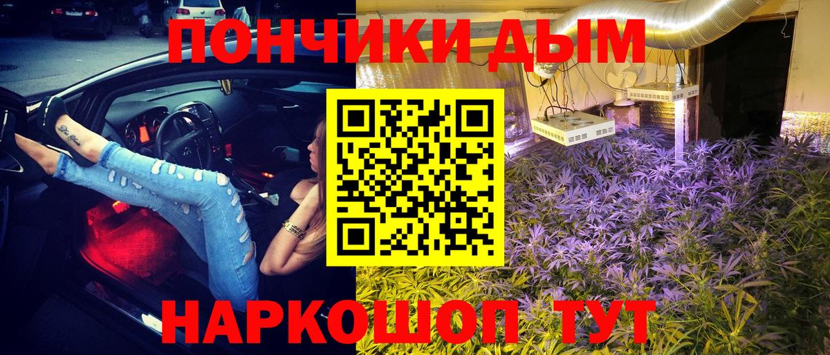 Бошки Шишки Bruce Banner  Конопля сатива  Вход с VPN  Нижнеудинск 